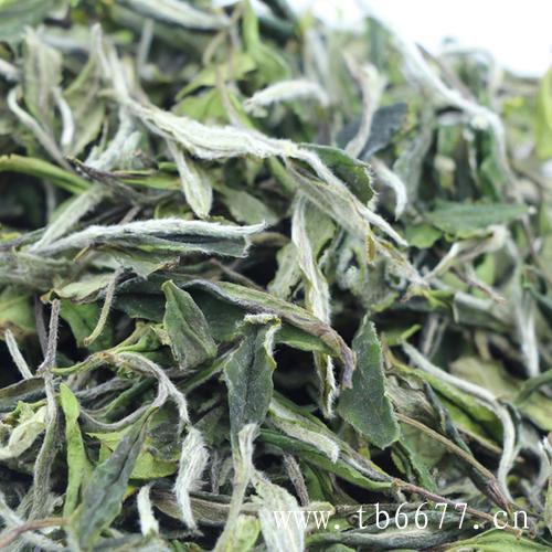 白牡丹茶的产地,绞股蓝茶的功效与作用,白牡丹茶的产地