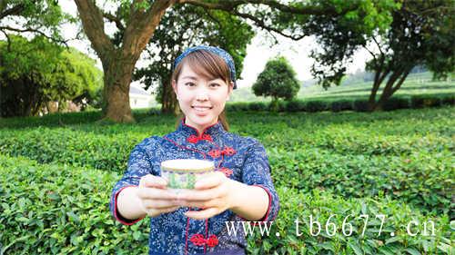 台湾乌龙茶有哪些类型