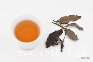 福鼎白茶美容与抗衰老作用